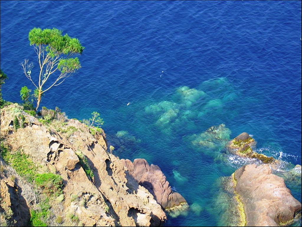 Vacanceole - Les Calanques Du Parc Frejus