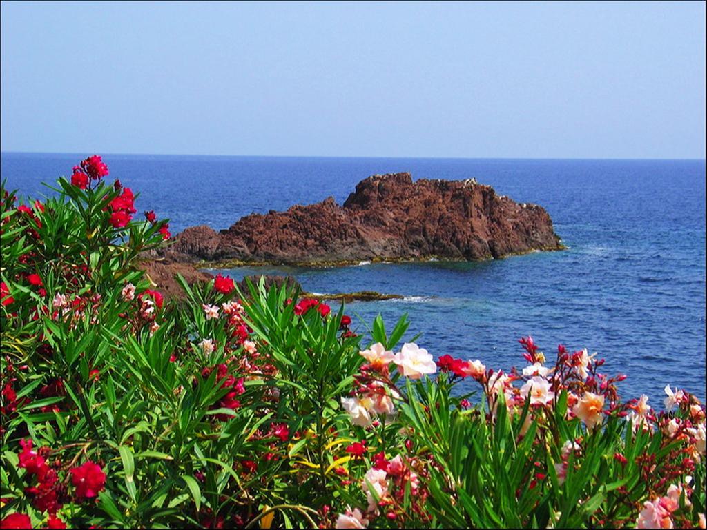 Vacancéole - Les Calanques Du Parc Apartahotel